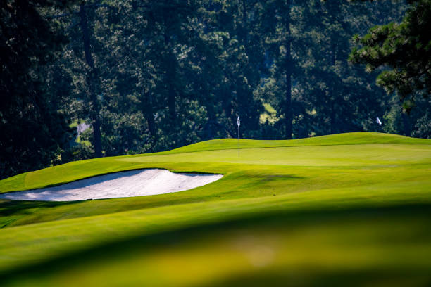 Augusta Rules: The Essential Guide to Masters Week